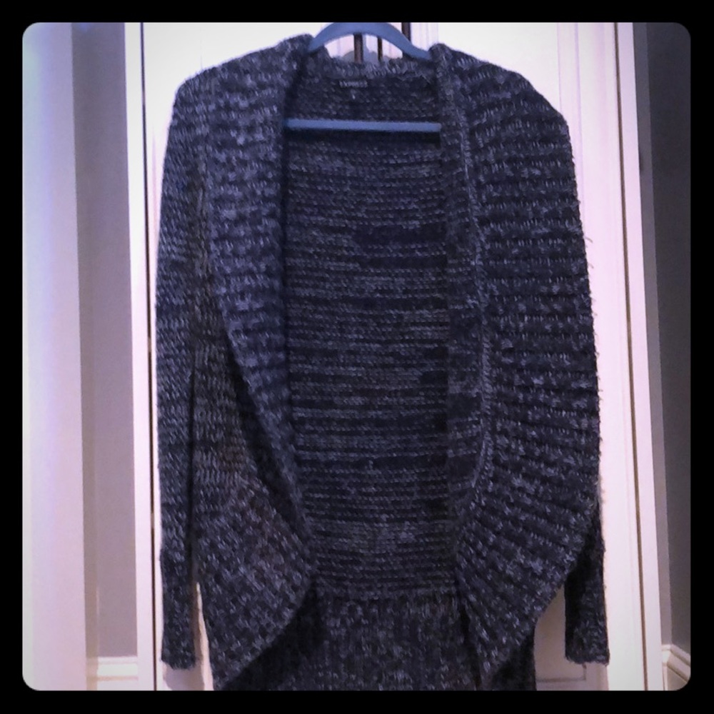 Express Navy and White Sweater